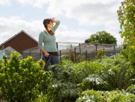 Sei esaurito? Fai un Digiuno!