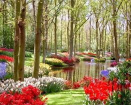 Il giardino alla moda