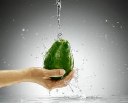 L’avocado, salute in un frutto