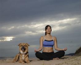 Yoga con i cani