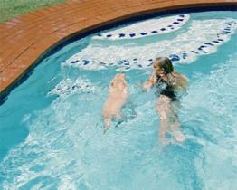 Il nuoto è lo sport ideale per I quattro zampe