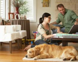 La terapia con gli animali domestici