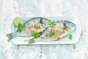 C'ERA UNA VOLTA UN PESCE...e una dieta di pesce