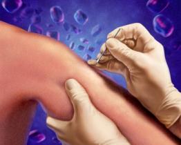 I segreti del sistema immunitario